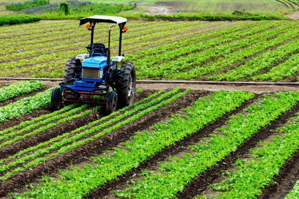 Top Small Investment Opportunities in Pakistan