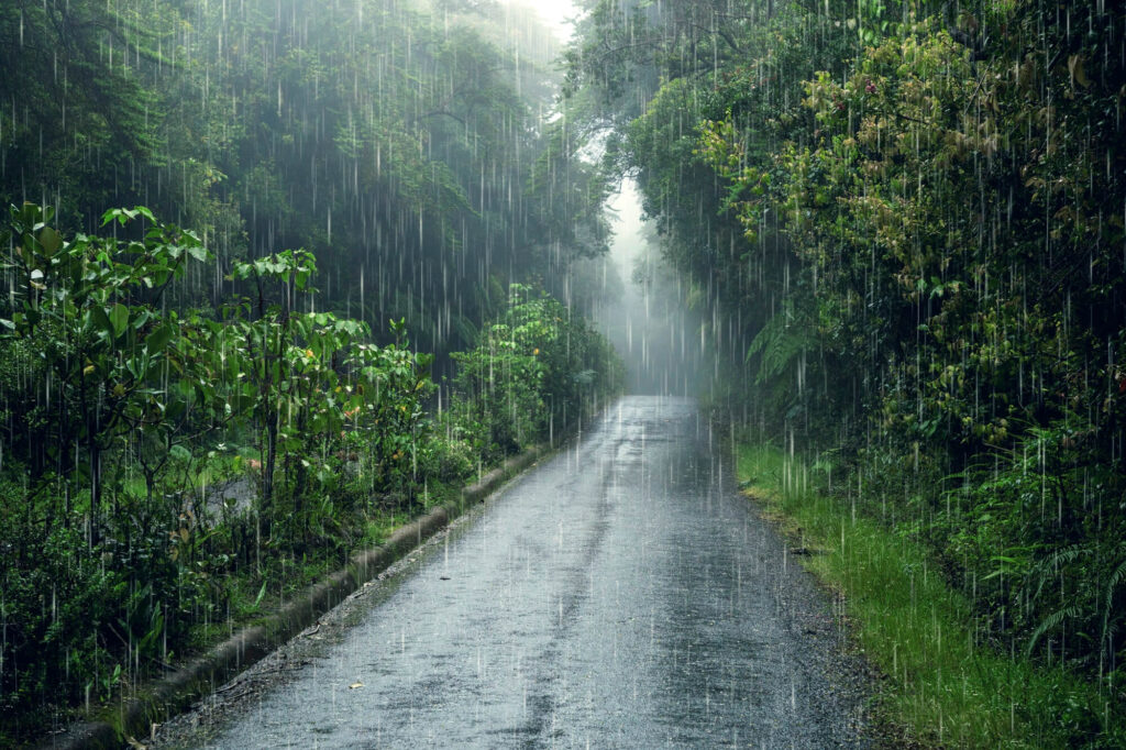monsoon property preparation by t2R