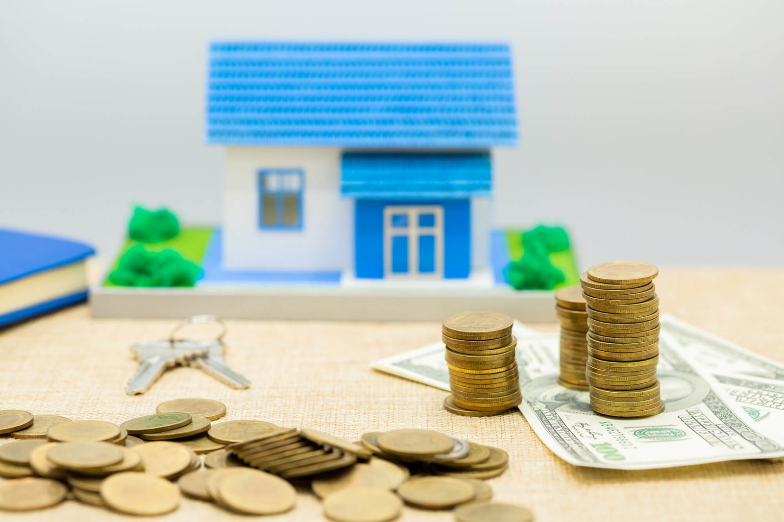 SBP Pasban remittance scheme property by t2r
